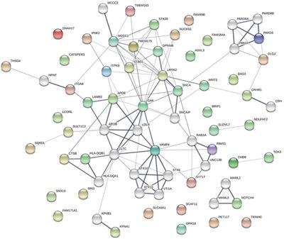 Variable Effects of PD-Risk Associated SNPs and Variants in Parkinsonism-Associated Genes on Disease Phenotype in a Community-Based Cohort